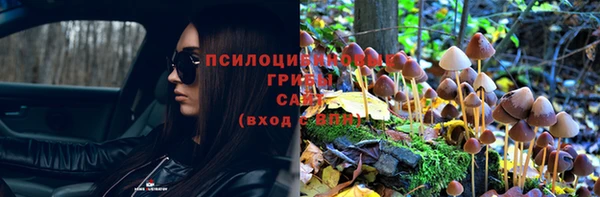 первитин Снежногорск