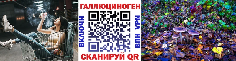 Псилоцибиновые грибы Psilocybe  кракен онион  Суворов 